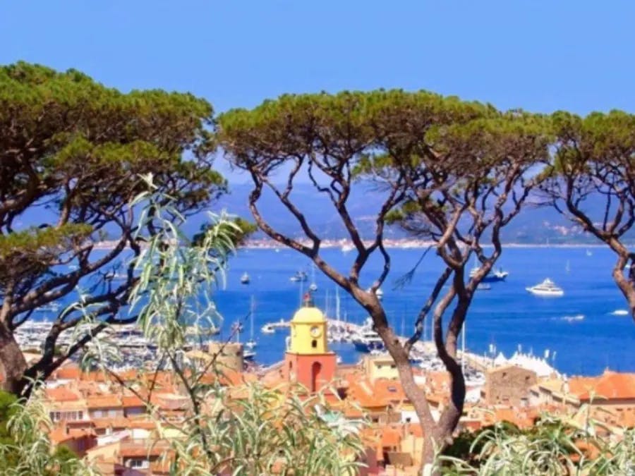 Balade Saint-Tropez en semi-rigide
