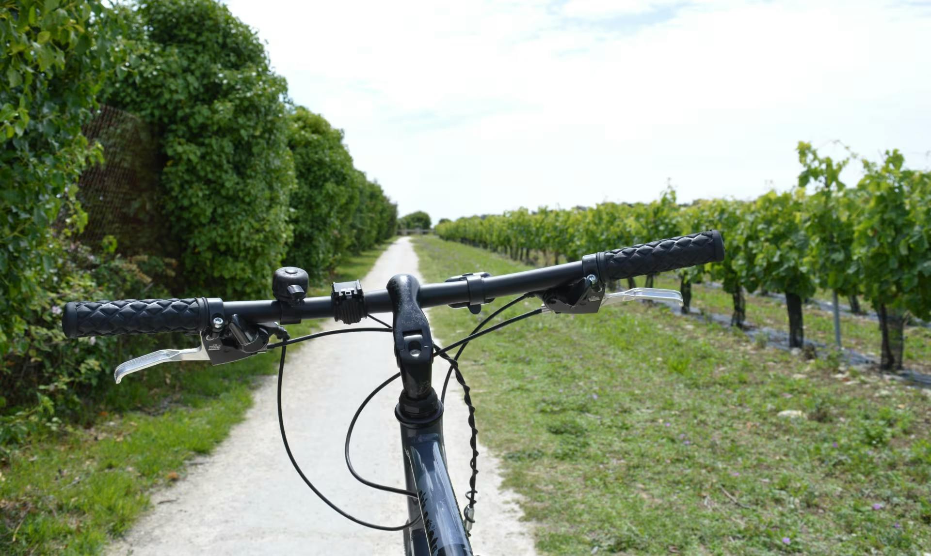 Balade à vélo guidée sur l’Île de Ré depuis Saint-Martin-de-Ré