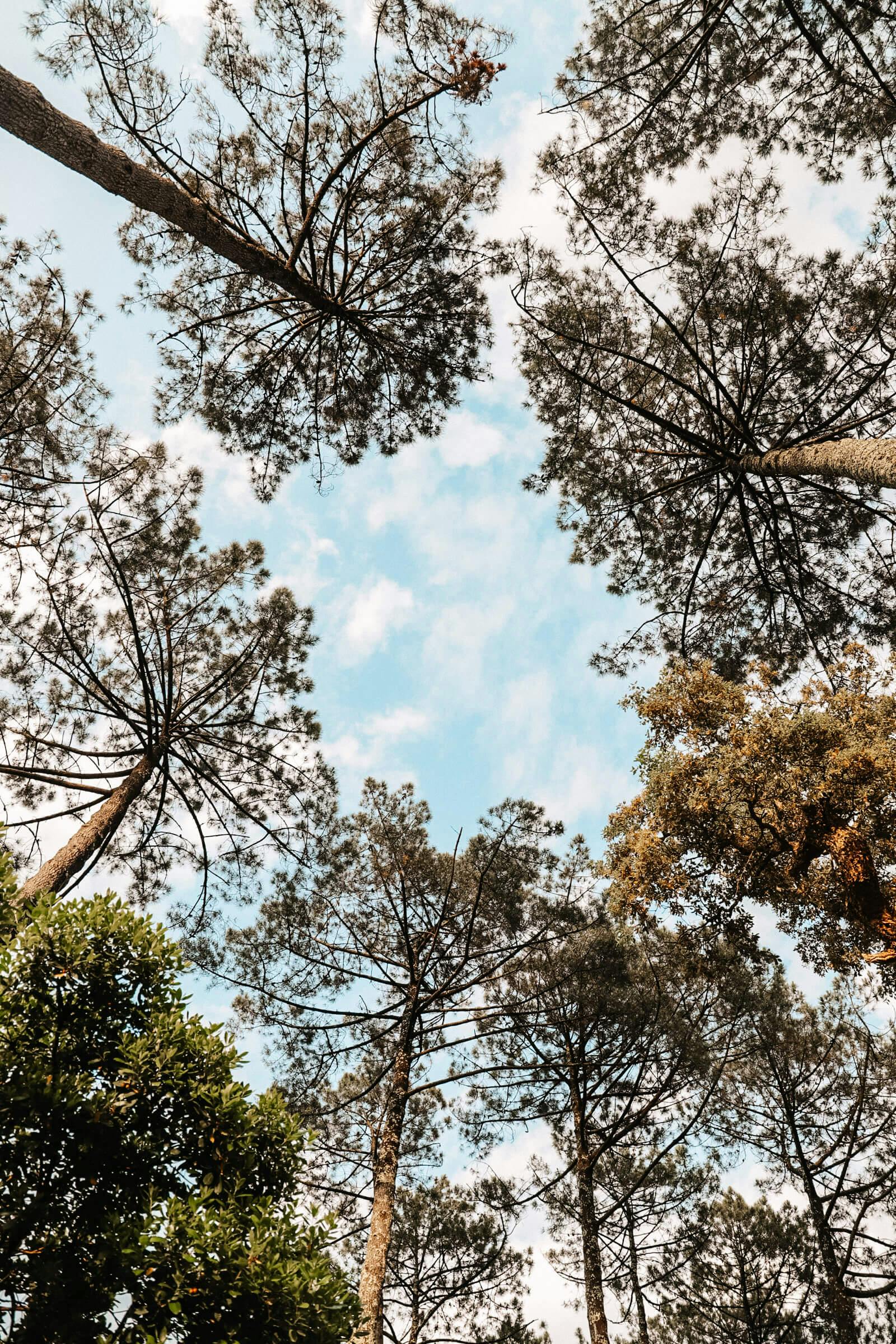 Sorties nature guidées