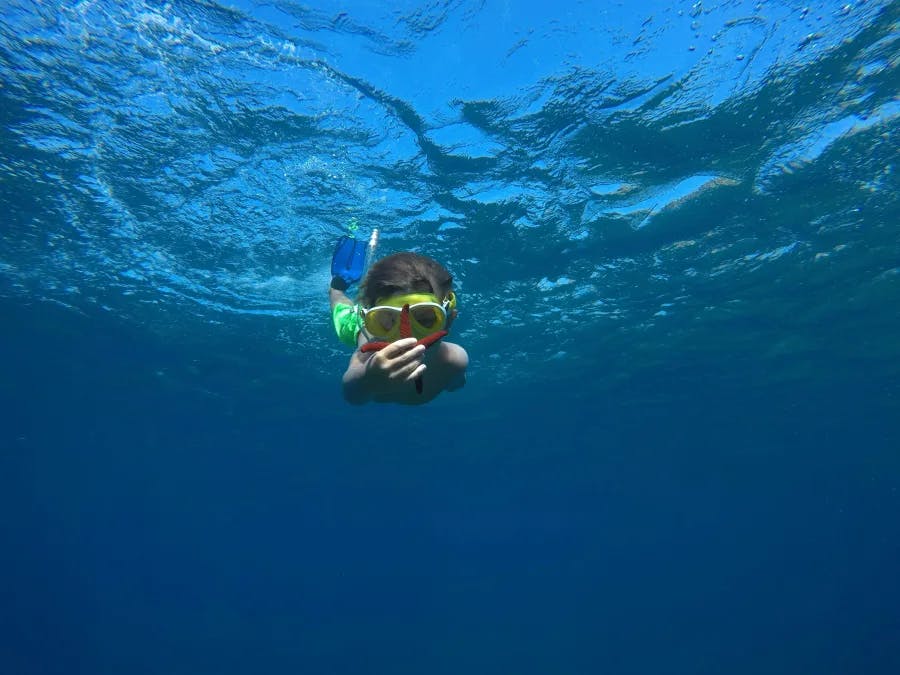 Excursion tour de l'île de Porquerolles et snorkeling (83)