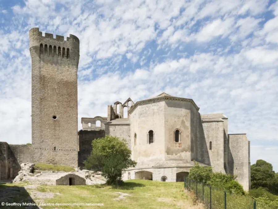 Abbaye de Montmajour (13)