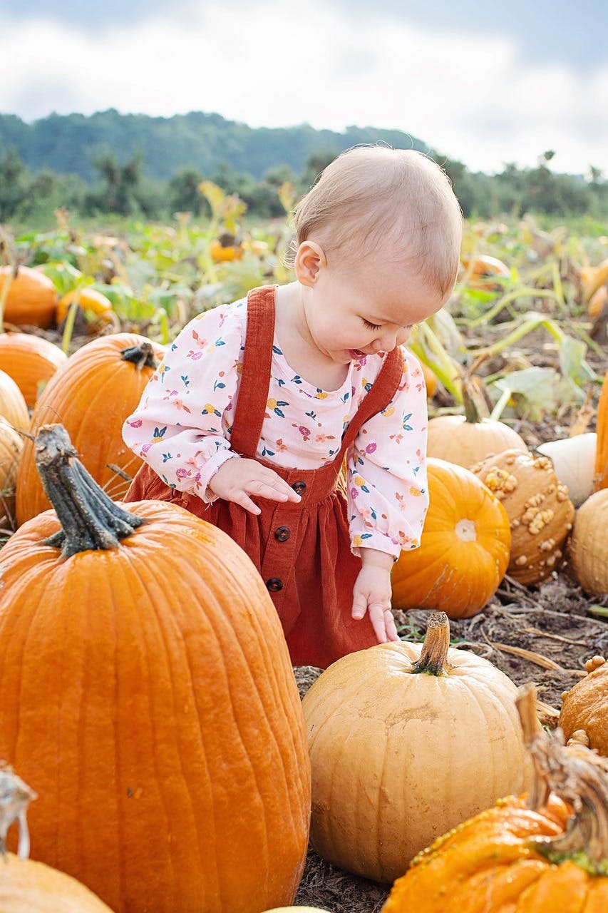 atelier enfant citrouille halloween chateaux de la loire