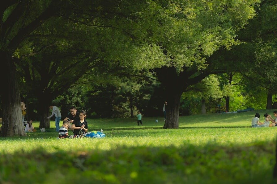 pique nique famille parents enfant parc gratuit