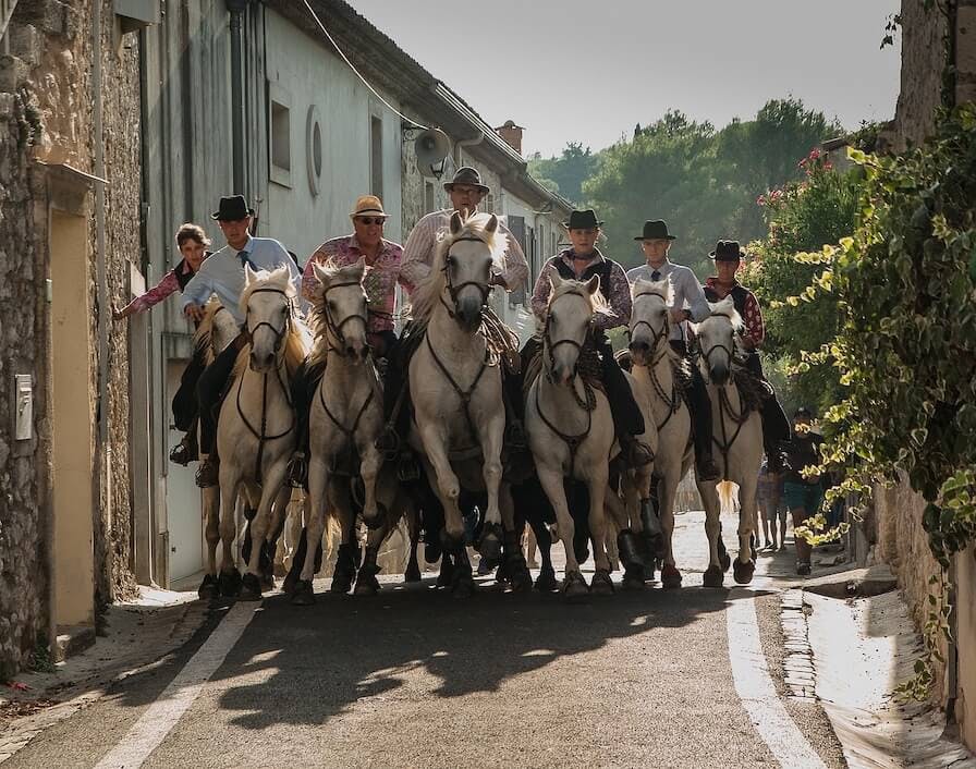 Chevaux camarguais