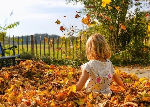enfants, automne, vacances de la Toussaint, vacances d'octobre