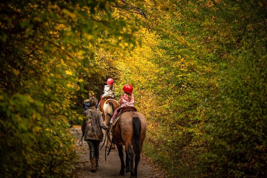 cours équitation + hébergement