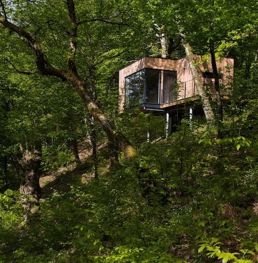 Cabane pleine nature forêt
