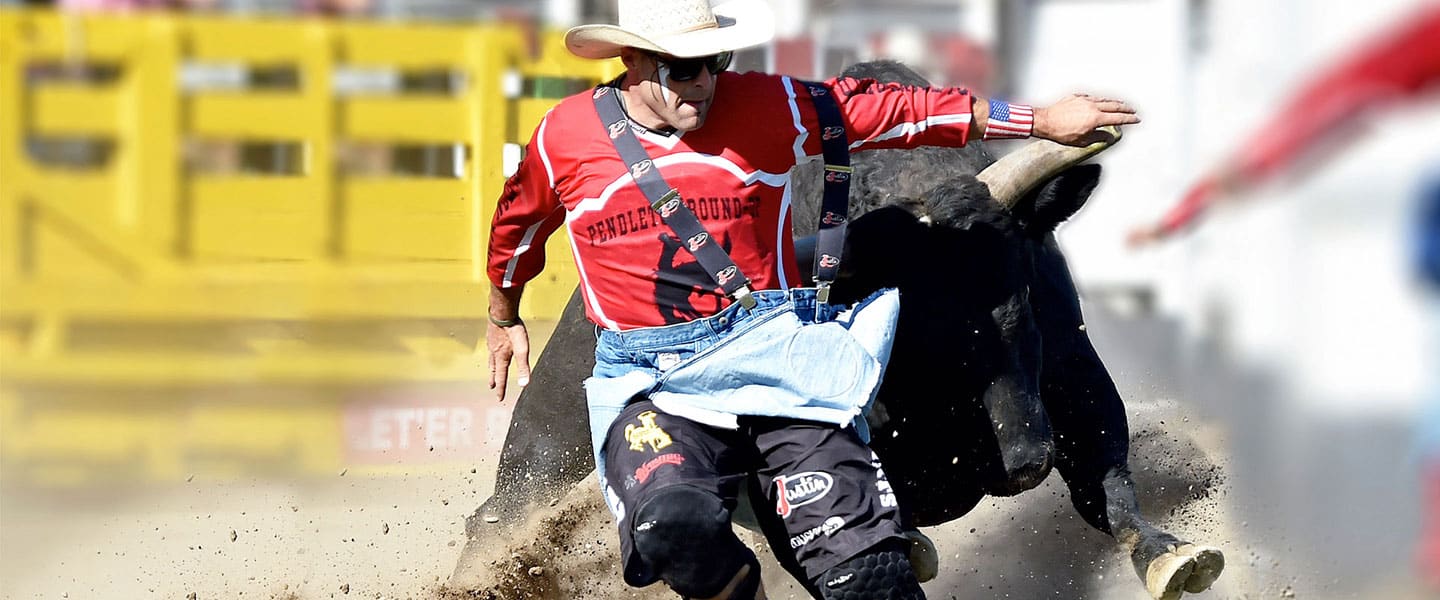 Rodeo cowboy dodging a bull