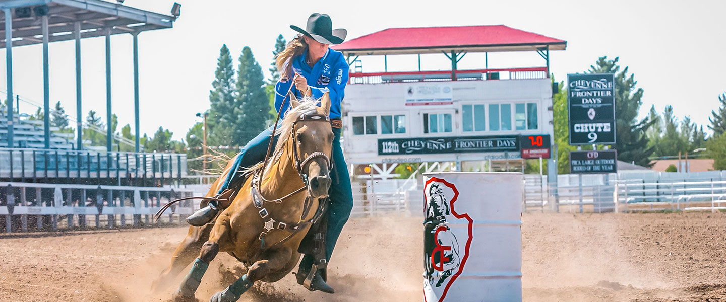 sherry cervi shirts