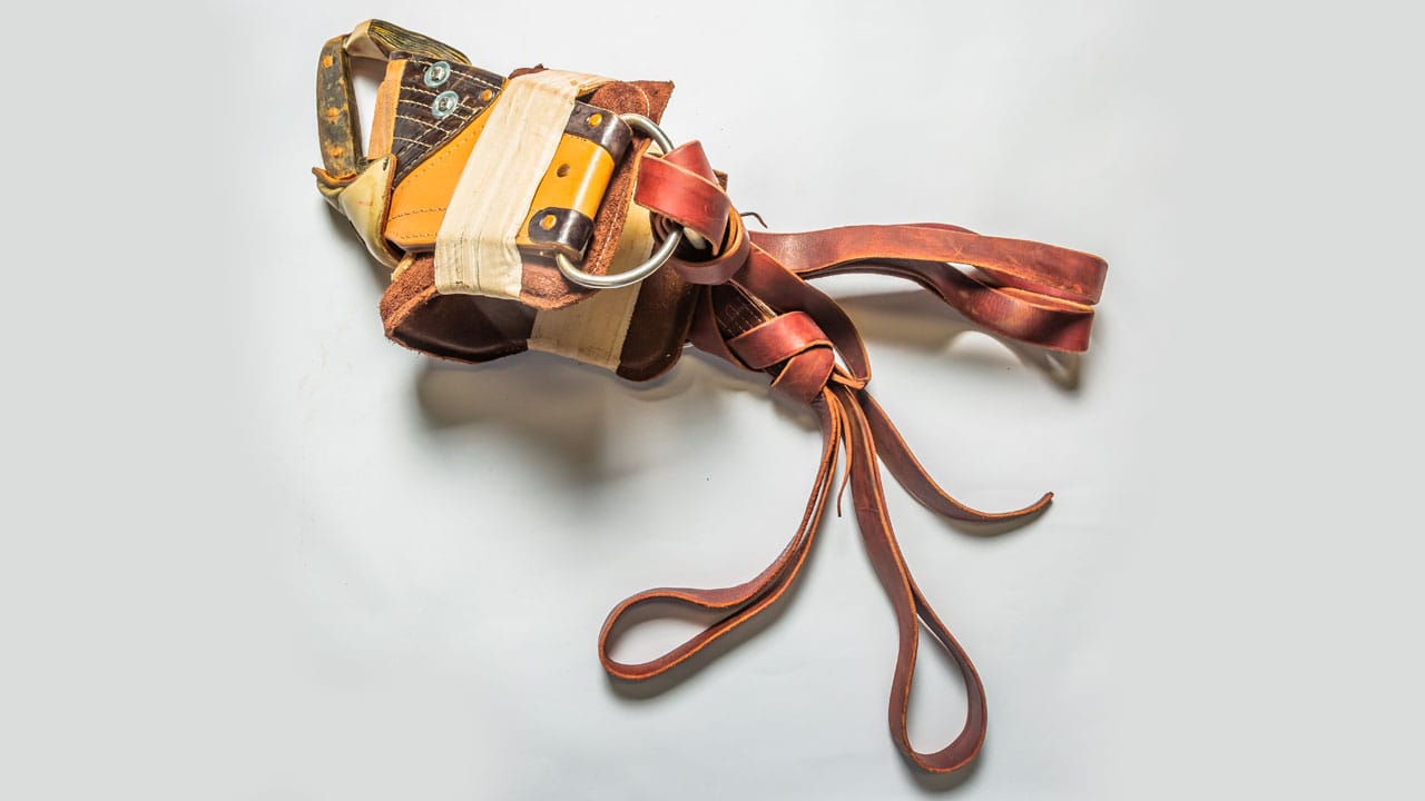 Bareback riding straps.