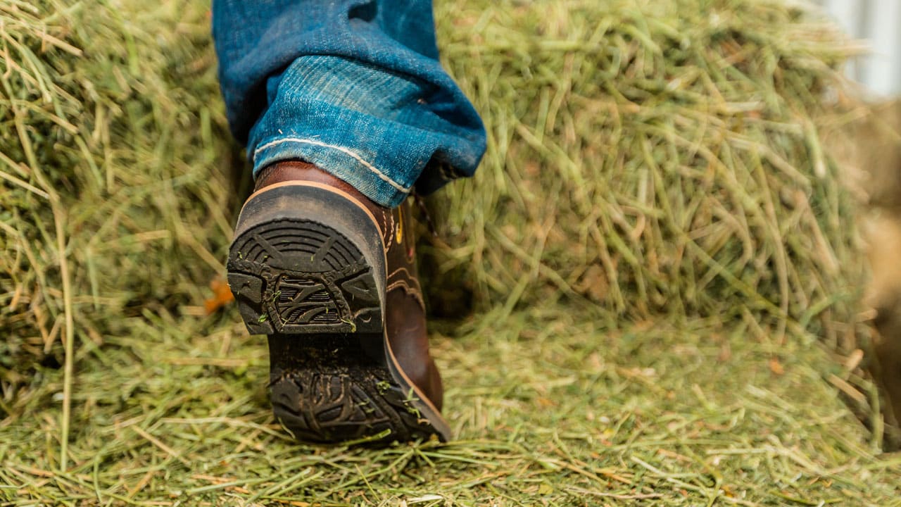 Justin Gypsy® work boot WKL992 in a barn in hay