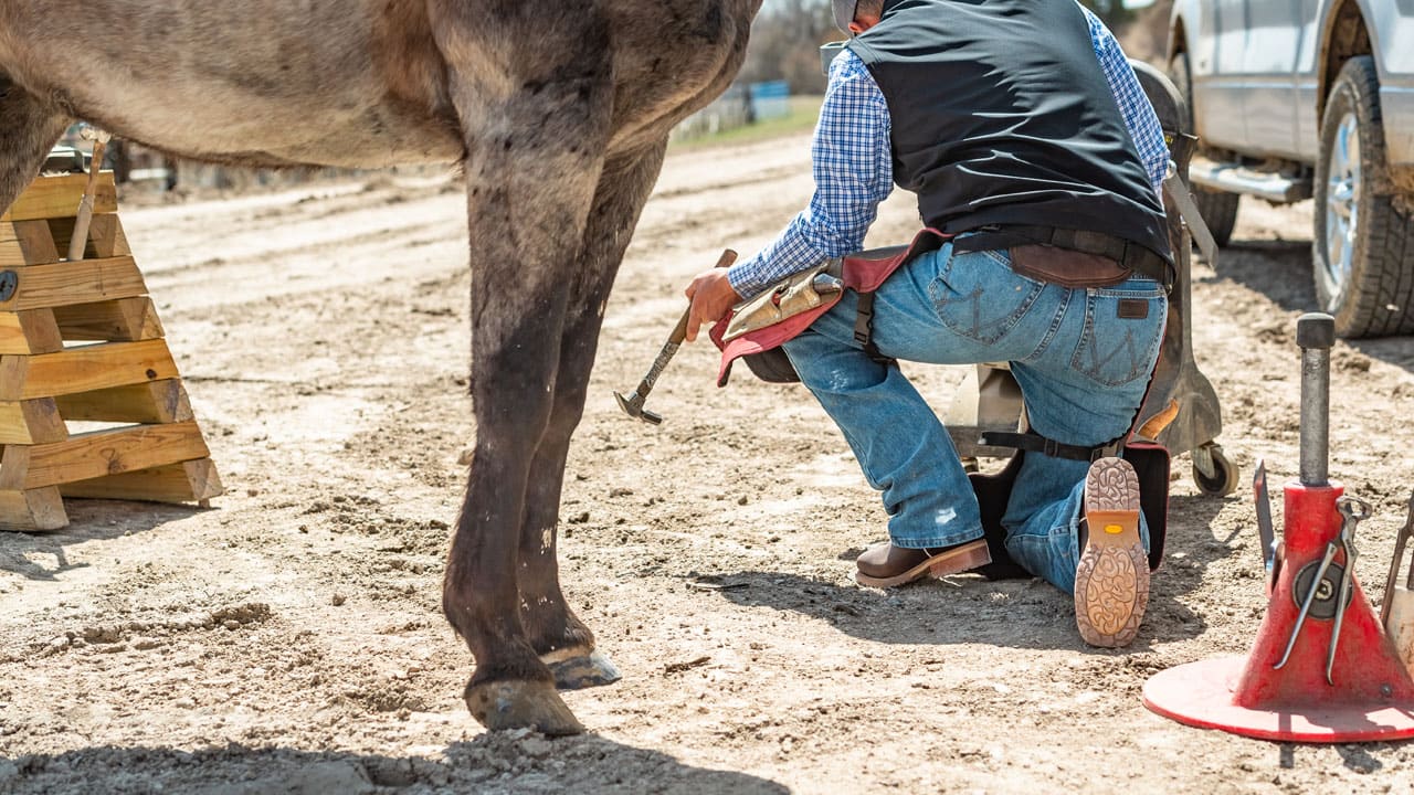 Man working with horses in a pair of Justin Boots Range boots