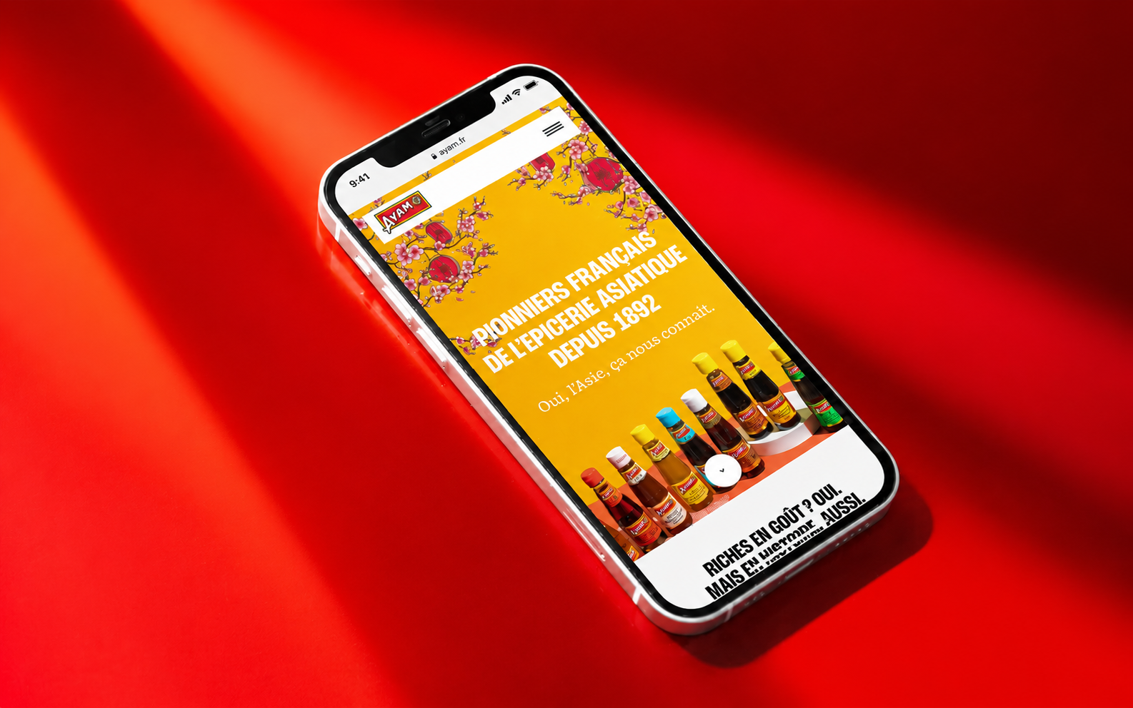 phone mock home page of the site