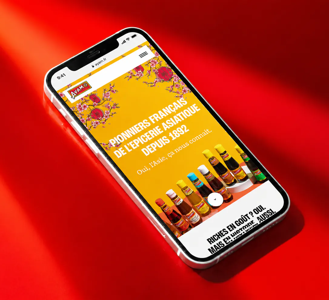 phone mock home page of the site