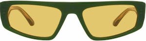 Emporio Armani EA4168 sunglasses