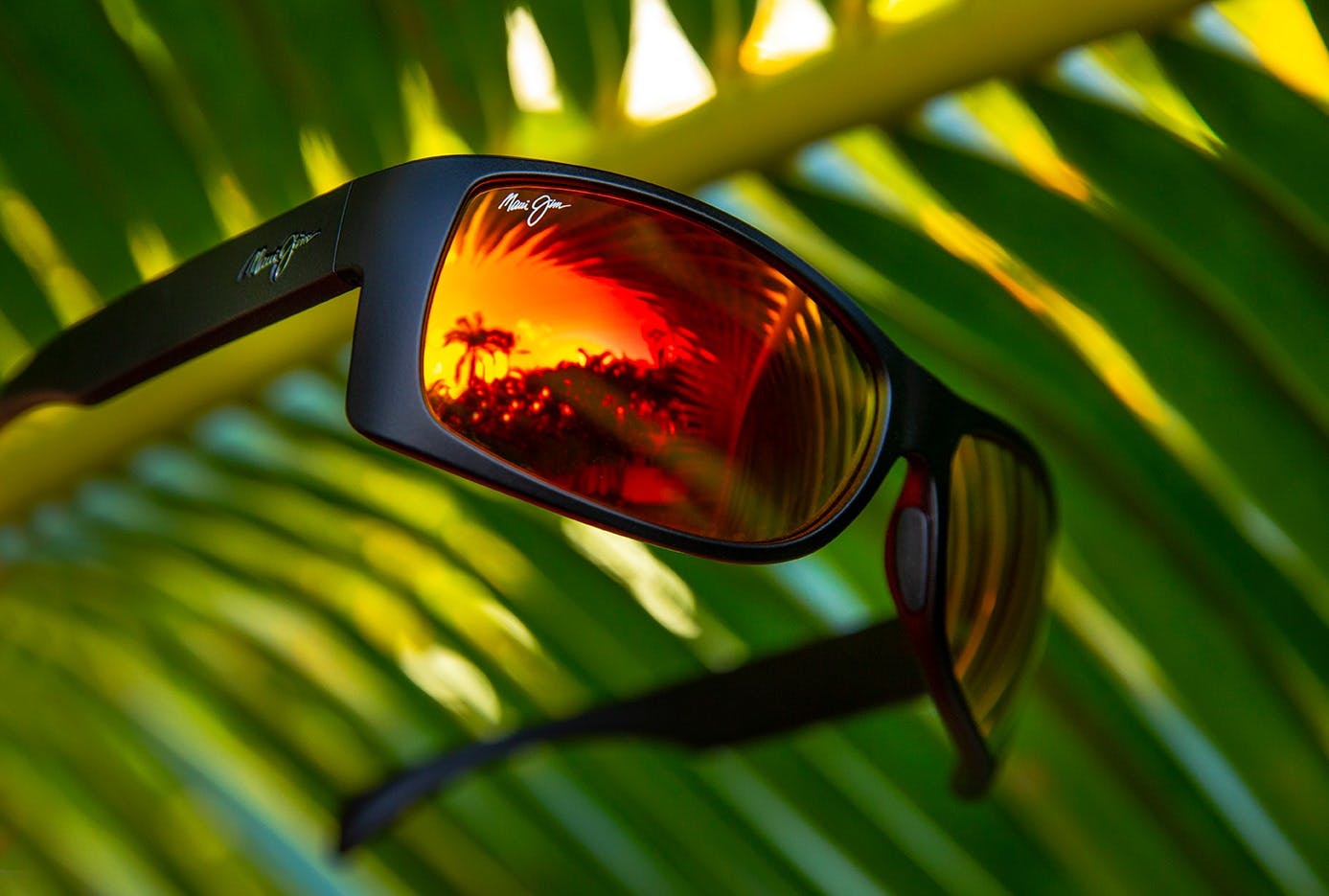 Maui Jim Sunglasses  Just Sunnies Australia