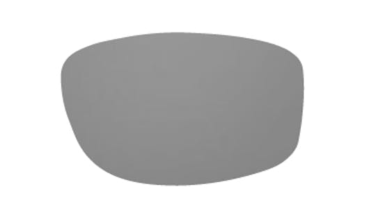 Grey/Black Lens