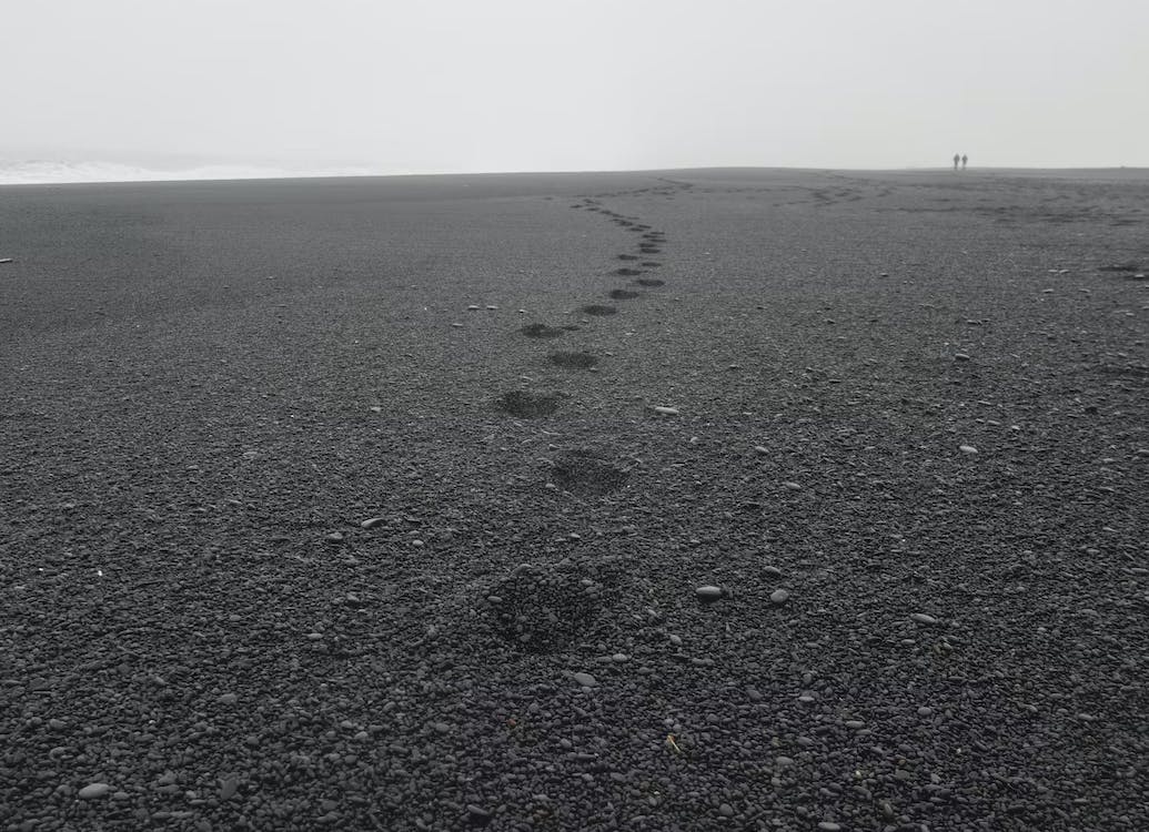 Footprints on black sand. Image by Gemma Evans, Unsplash