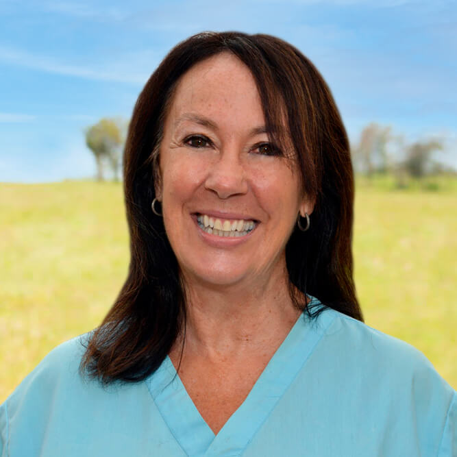 K9 SWiM Sharon Osmond