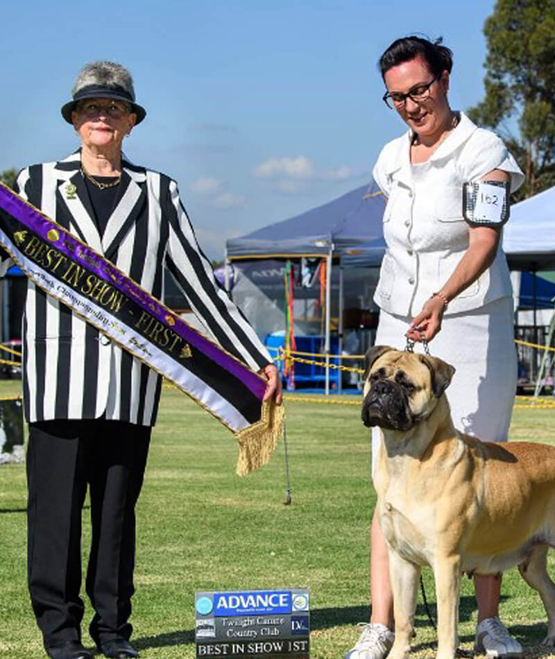 K9 SWiM Testimonial - Indi