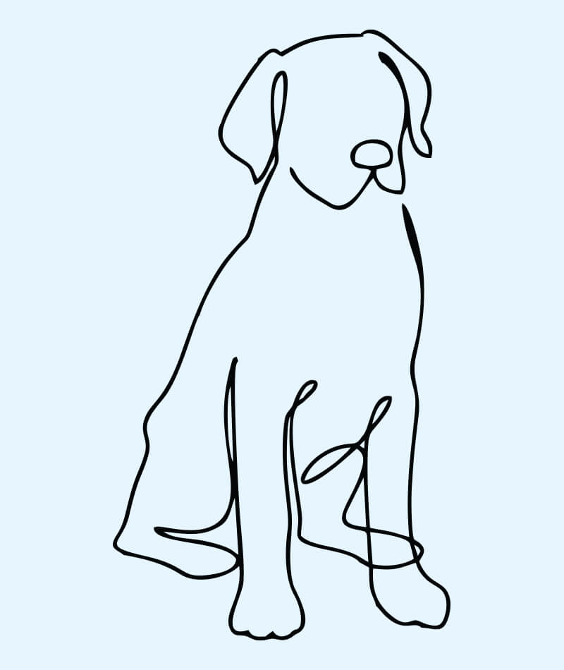 K9 SWiM Testimonials