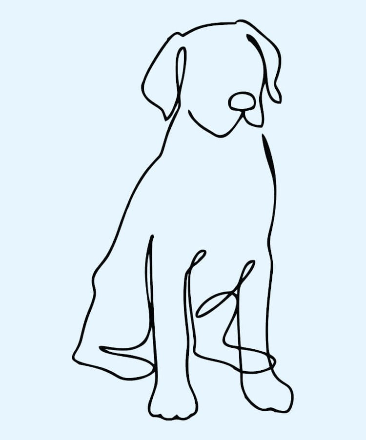 K9 SWiM Testimonials