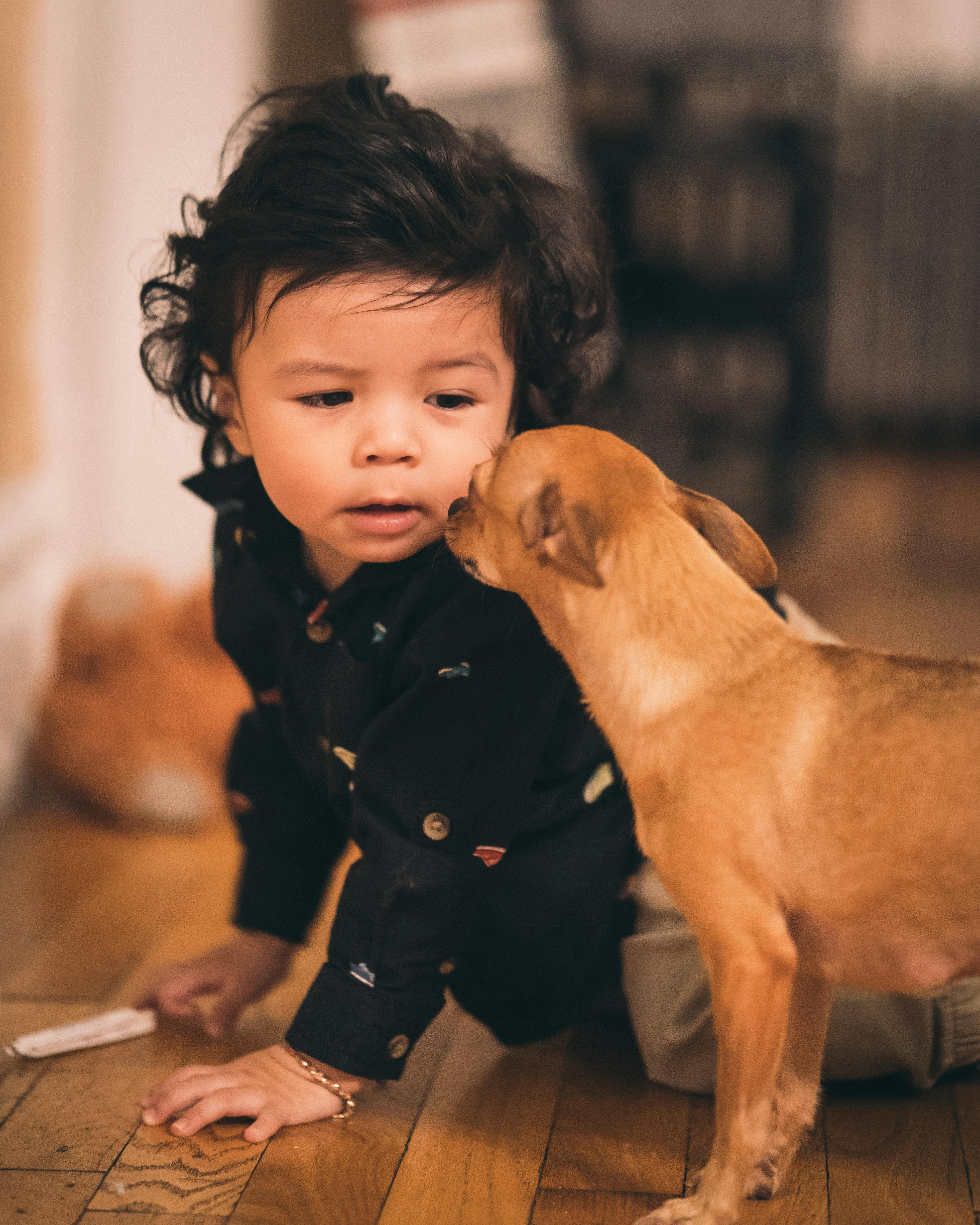 why is it good for a child to have a dog