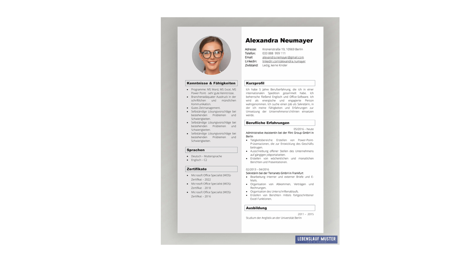 Soft Skills  resume