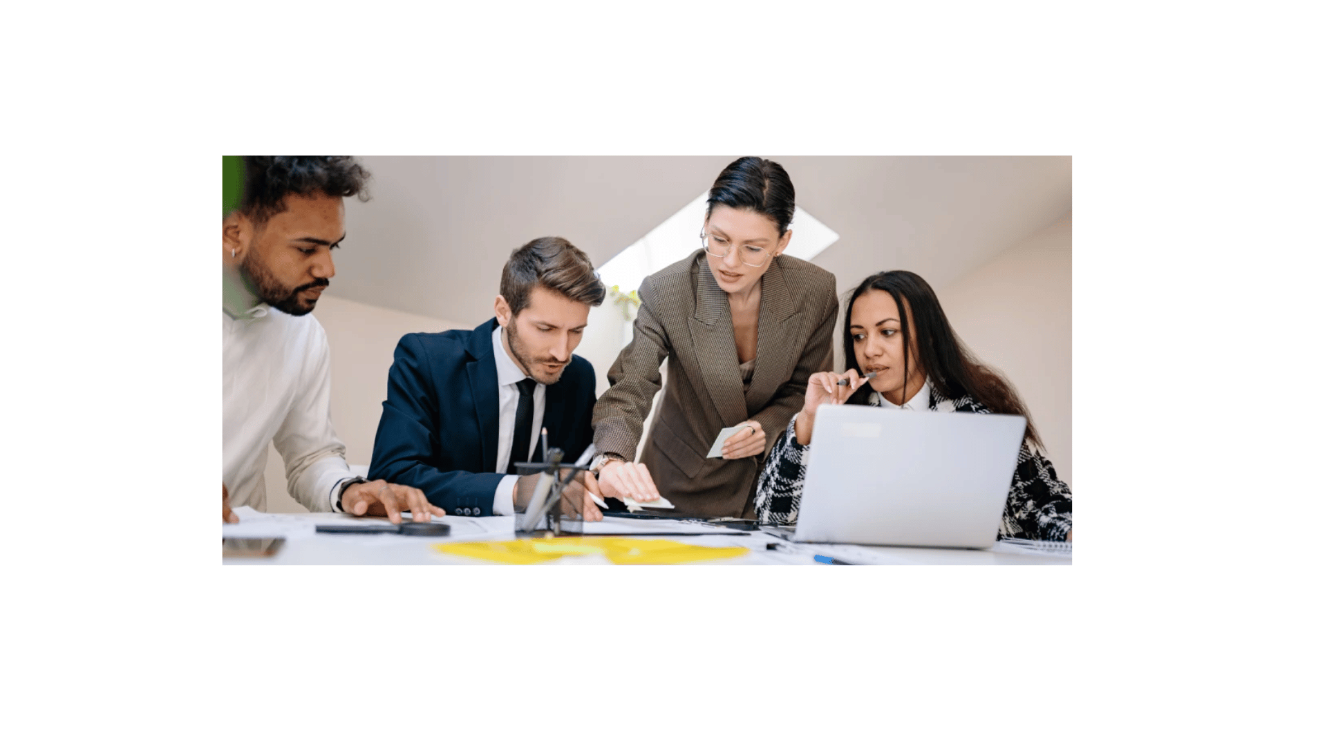 business mentorship professionals