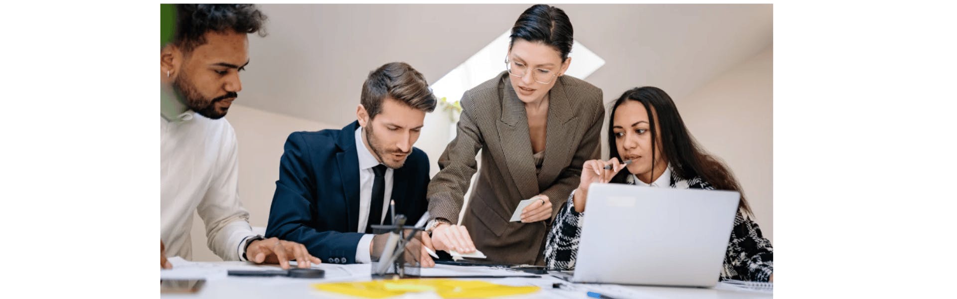 business mentorship professionals