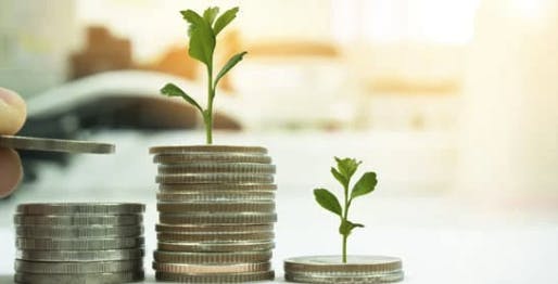 Coins with seeds representing seed funding