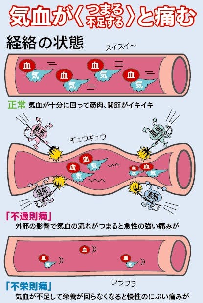 はいはい とう せい どく 糖毒性