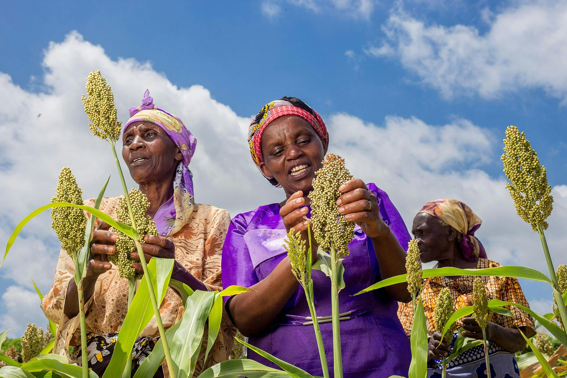 Introducing Africa Biennial Biosciences Communication (ABBC 2023) Symposium