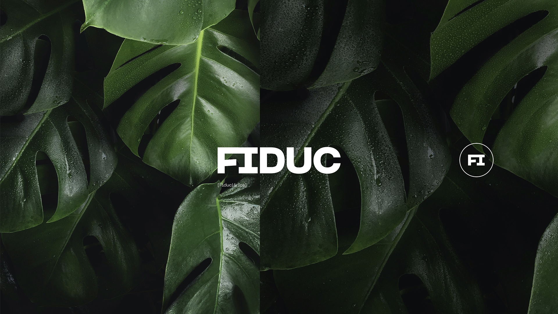 [{"type":"heading1","text":"Fiduc","spans":[]}]