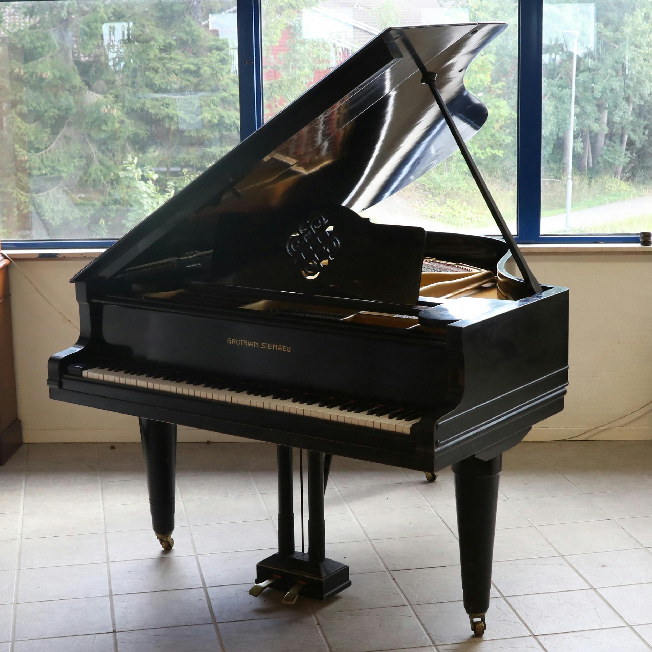 10 FLYGEL, Grotrian Steinweg