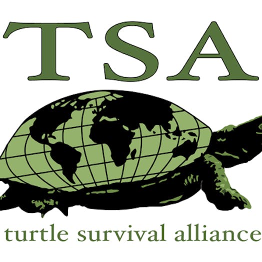 logo for Turtle Survival Alliance