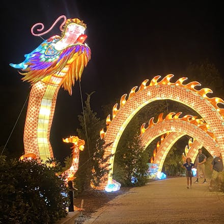 Large glowing dragon lantern creates arches over walkway at night