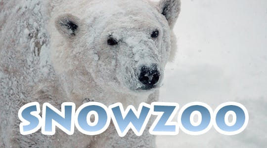 Snow Zoo