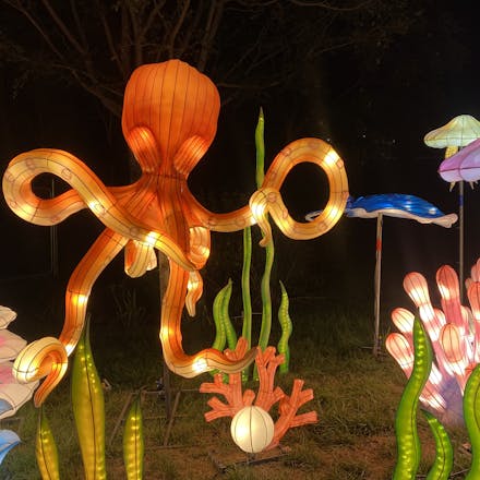 Octopus and seascape lantern