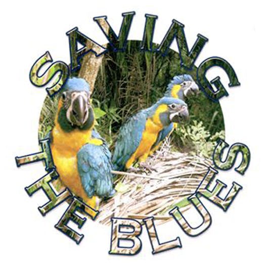 logo with blue and yellow macaws with the words Saving the Blues