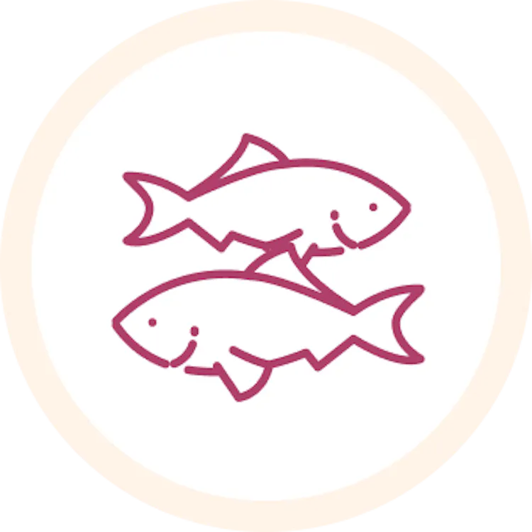 Pirate fish icon