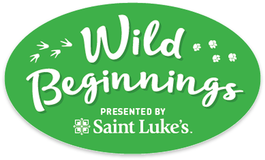 Wild Beginnings Presented by Saint Luke's Logo
