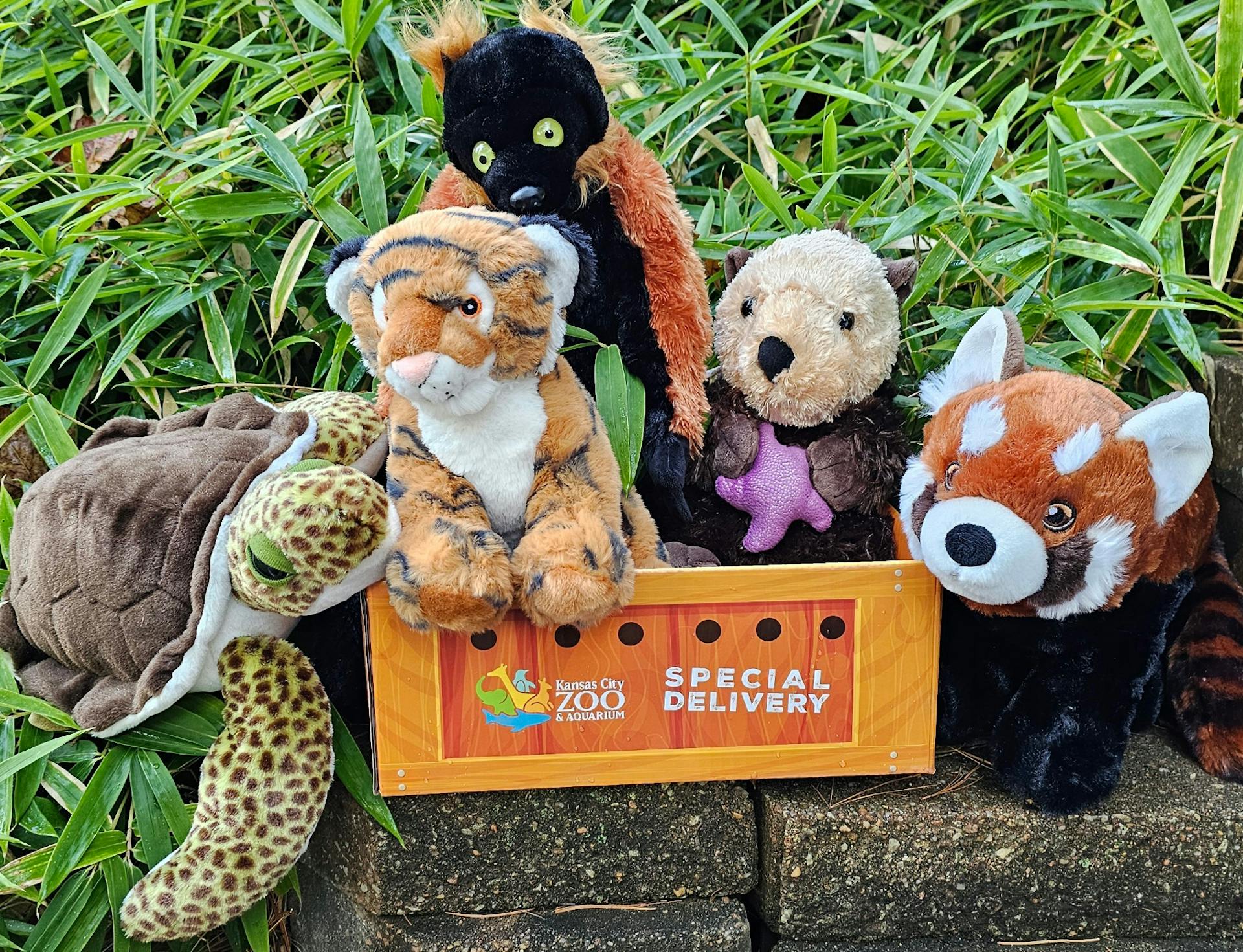 A photo of various animal plushes all surrounding a decorative box.
