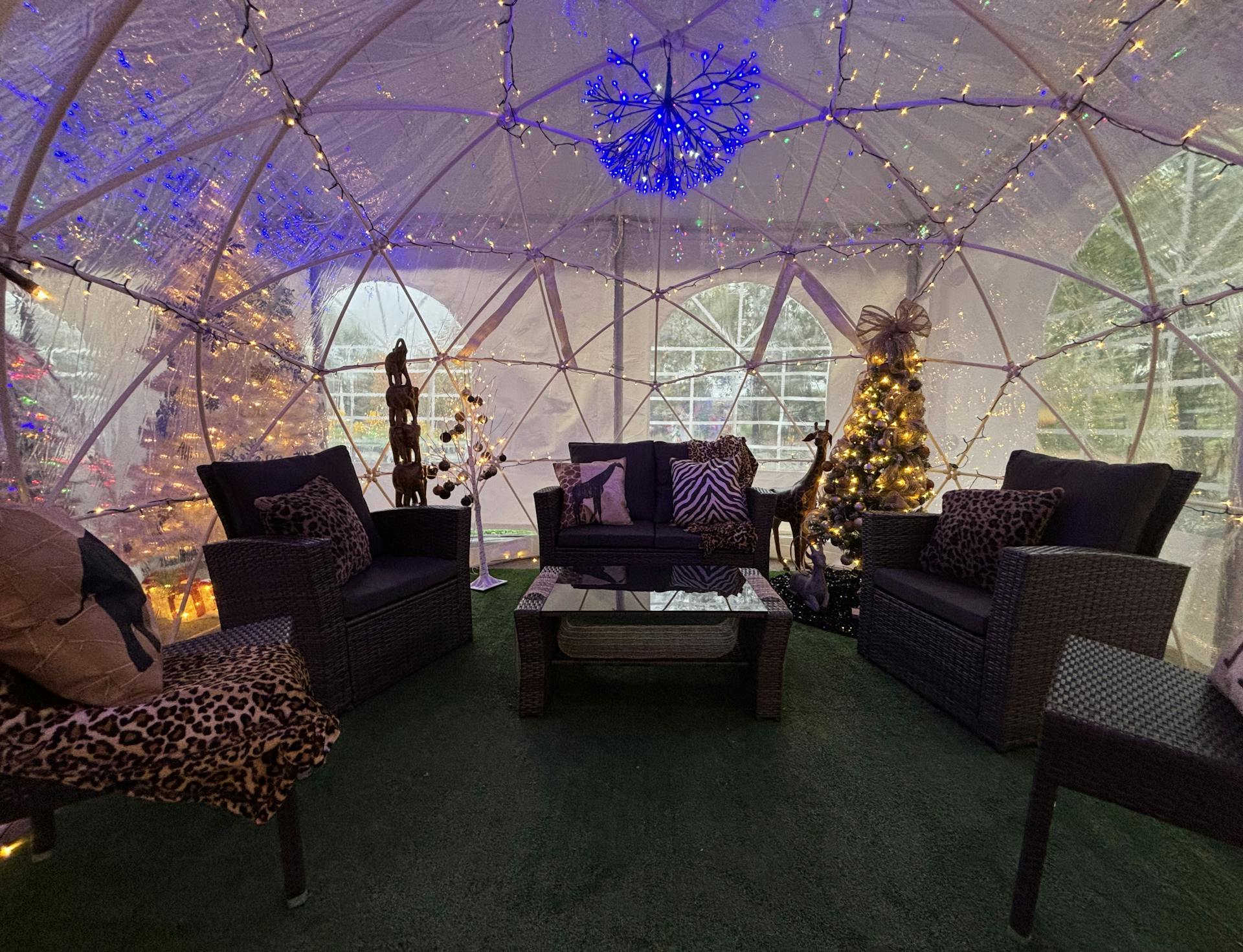 A photo of an enclosed plastic igloo with African savanna memorabilia inside.