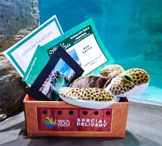 photo of a an adopt a wild child package, including a plush, certificate, and animal photo