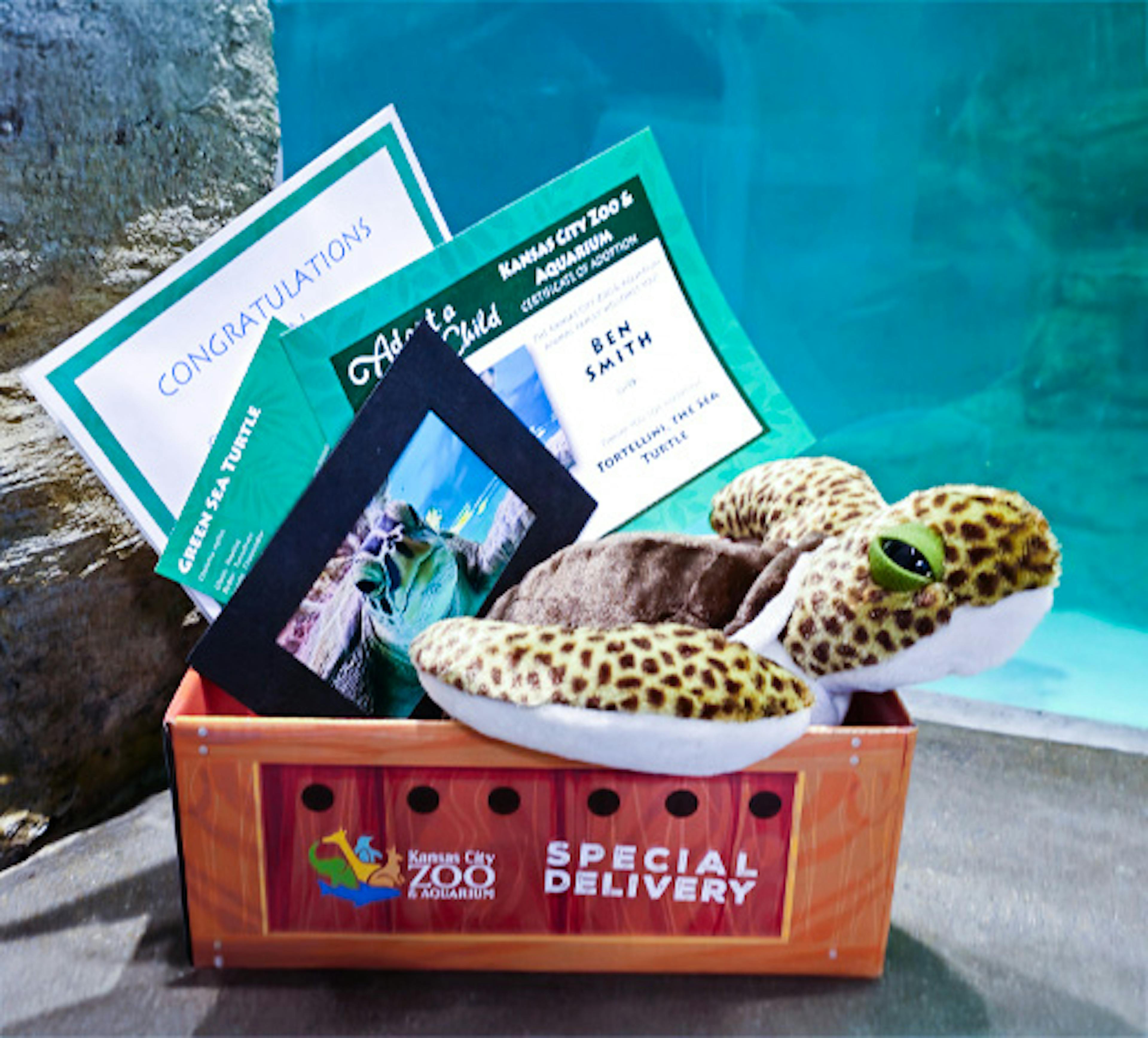 photo of a an adopt a wild child package, including a plush, certificate, and animal photo