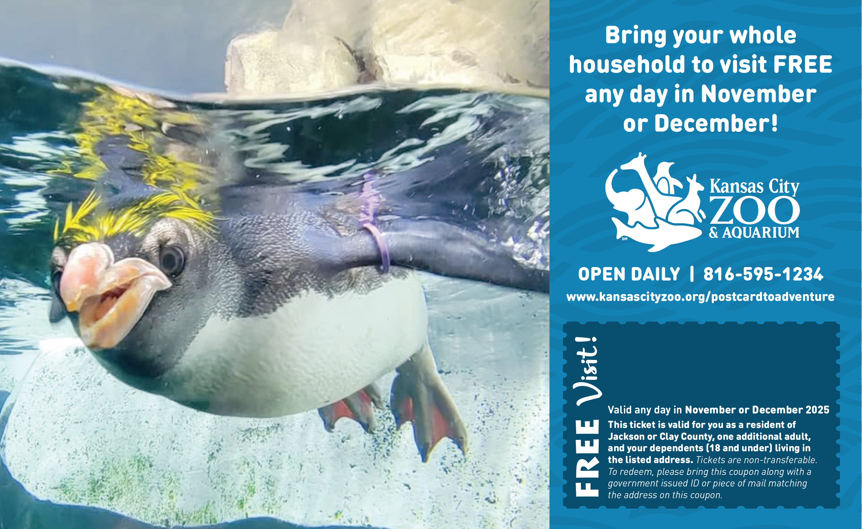 Postcard to Adventure