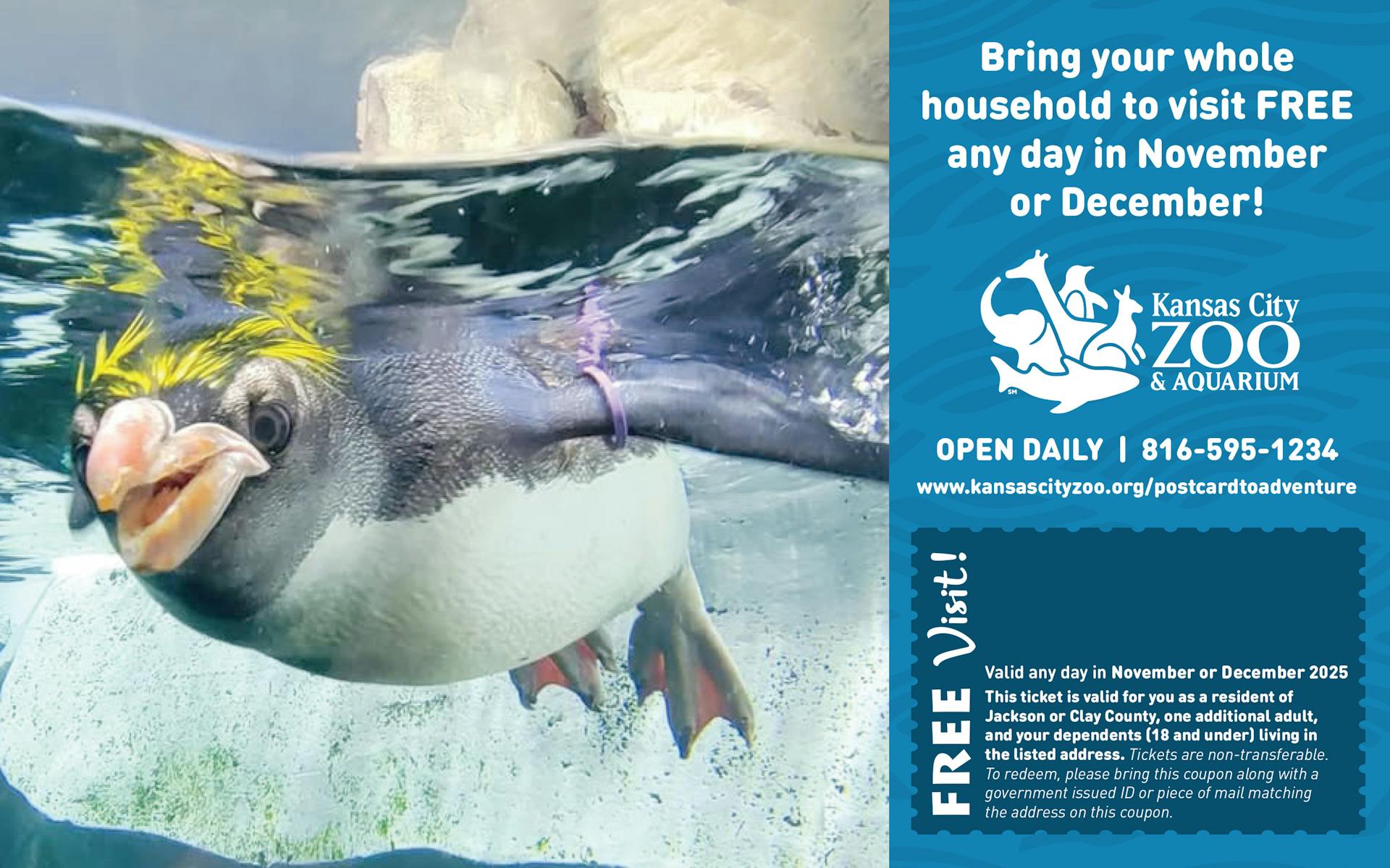 Postcard to adventure