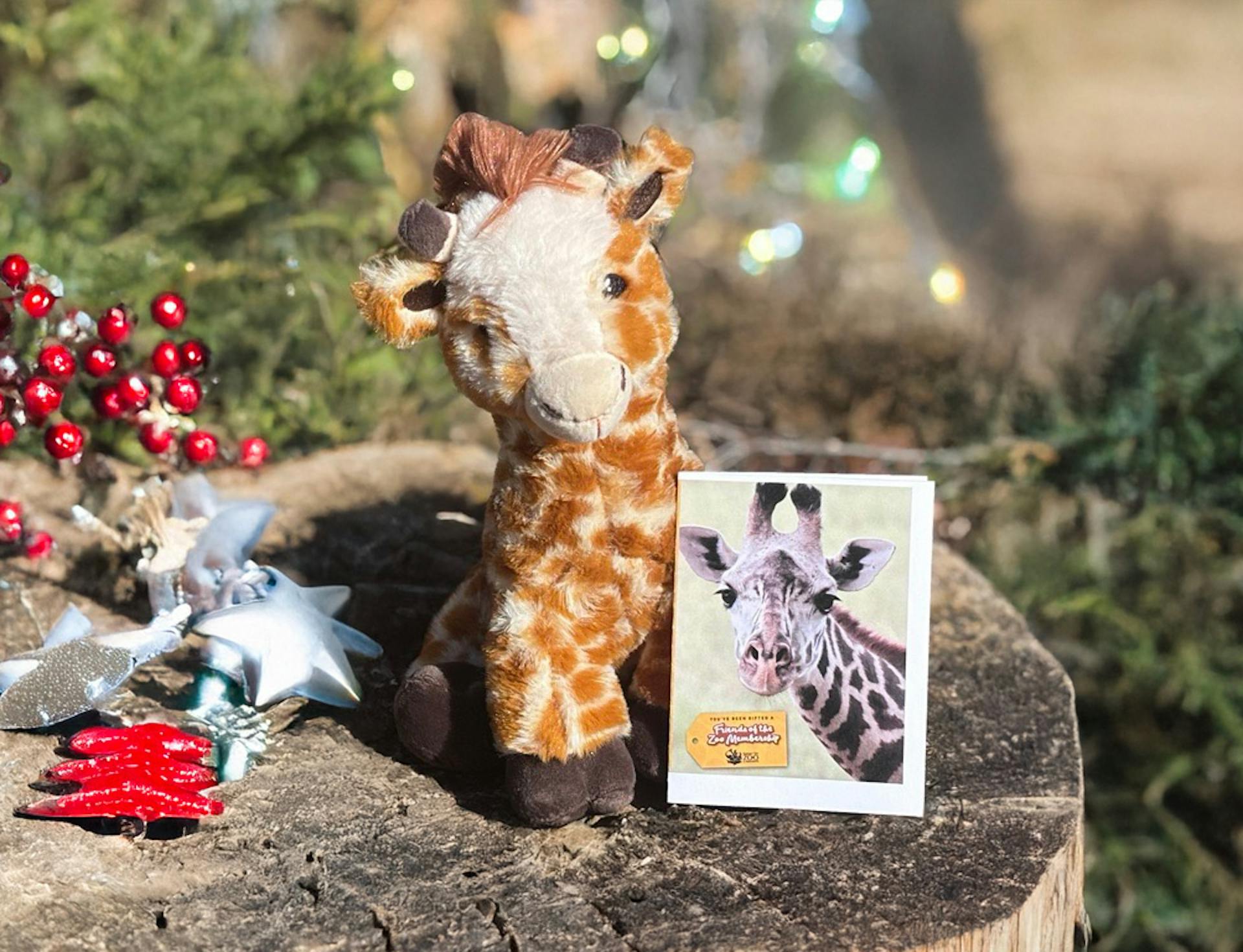 a photo of a giraffe plush with christmas decor around it.