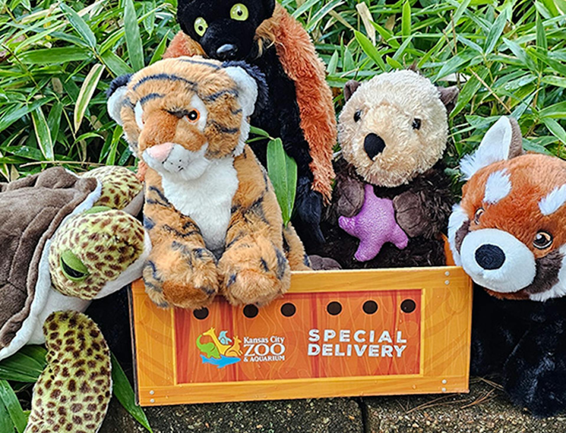 Multiple plush animals to promote the Adopt a Wild Child program